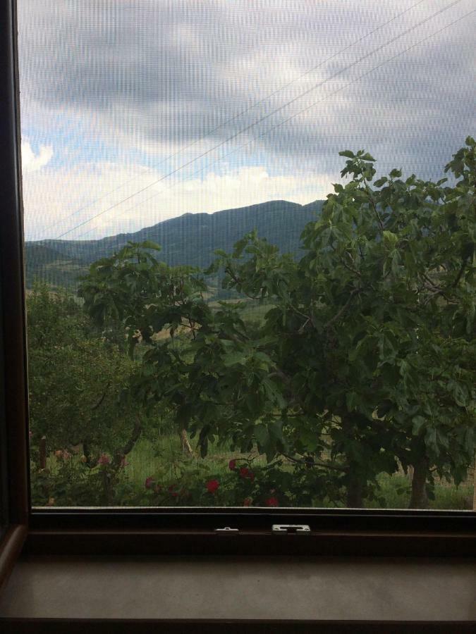 La Casa Nel Verde Castelmezzano Exterior foto